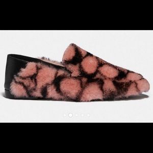 Coach Holly Shearling flats